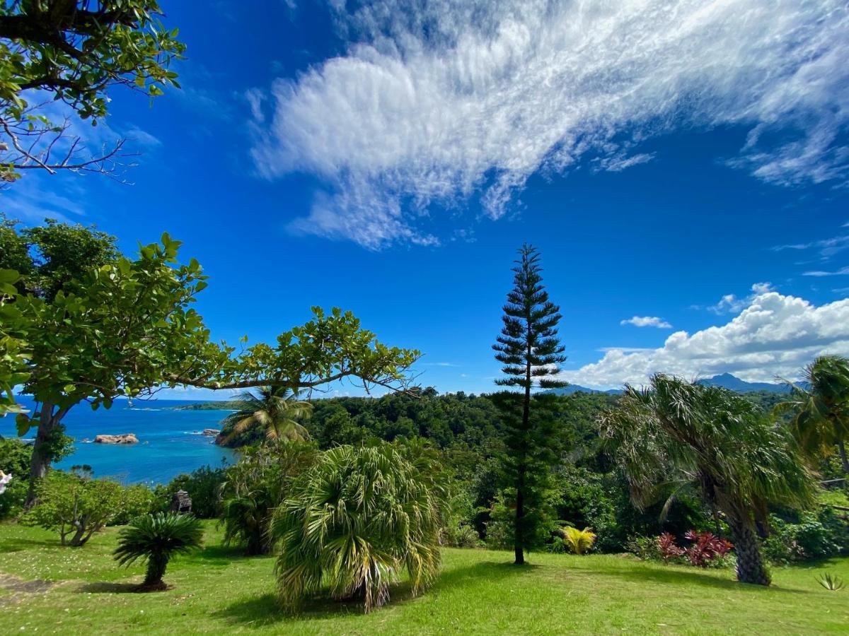Sea Cliff Eco-Cottages & Gin Distillery Calibishie Екстериор снимка