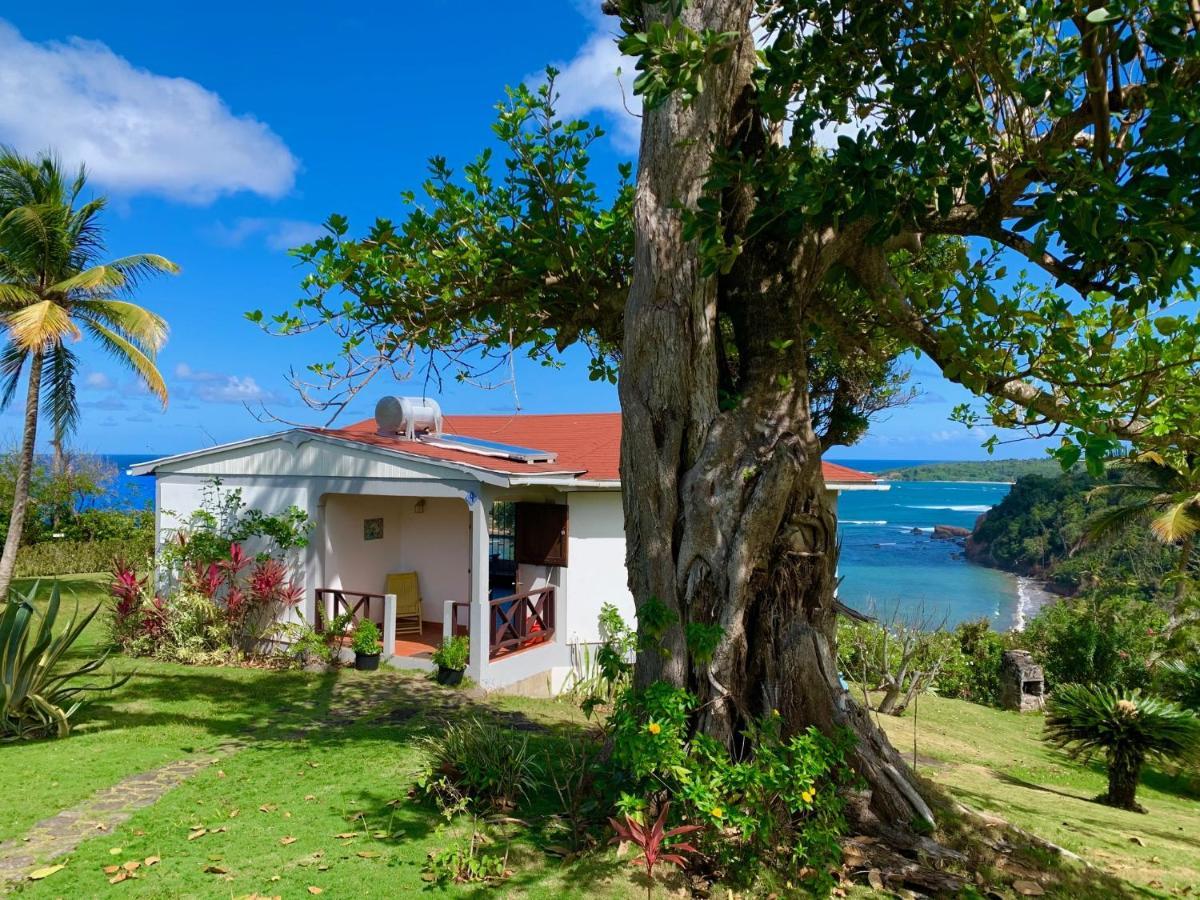 Sea Cliff Eco-Cottages & Gin Distillery Calibishie Екстериор снимка
