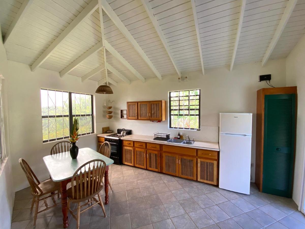 Sea Cliff Eco-Cottages & Gin Distillery Calibishie Екстериор снимка