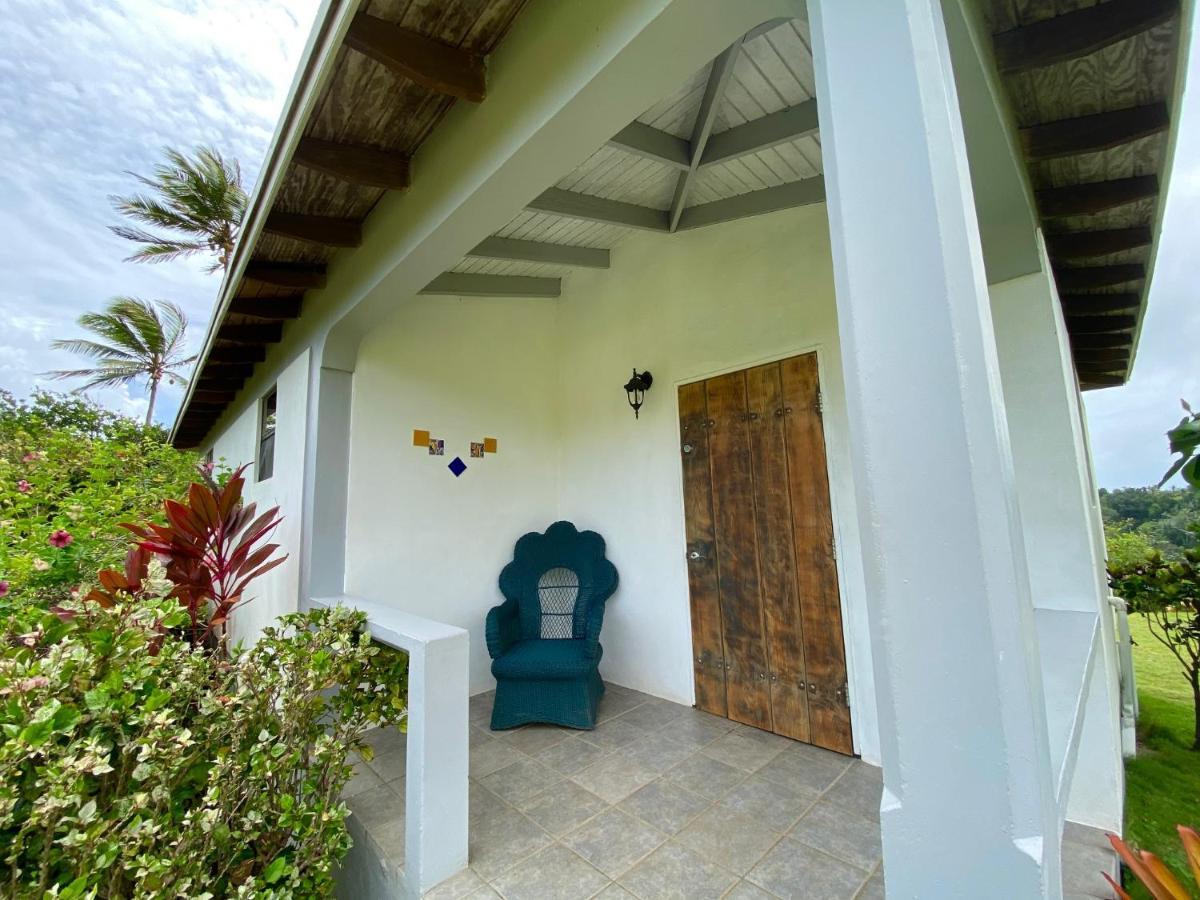 Sea Cliff Eco-Cottages & Gin Distillery Calibishie Екстериор снимка